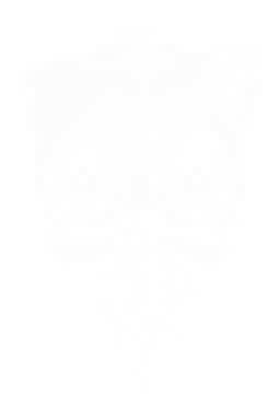 Titris icon