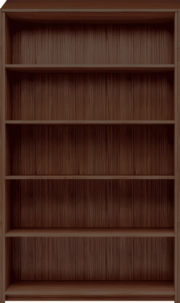 Left bookshelf