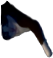 Ras' lute